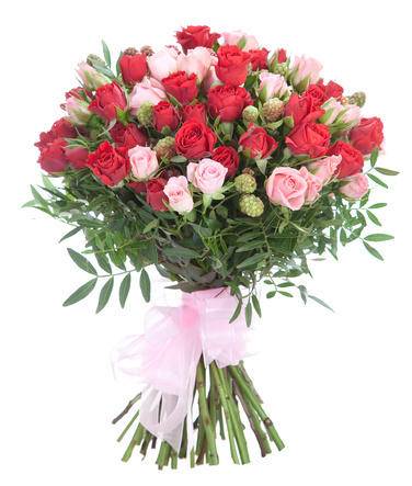 Ежевика Ежевика